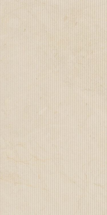 Biotech Crema Stone Cannette 24 x 48